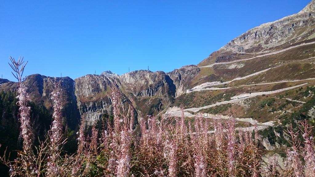 Hotel Garni Zimmermann Reith bei Kitzbühel Εξωτερικό φωτογραφία