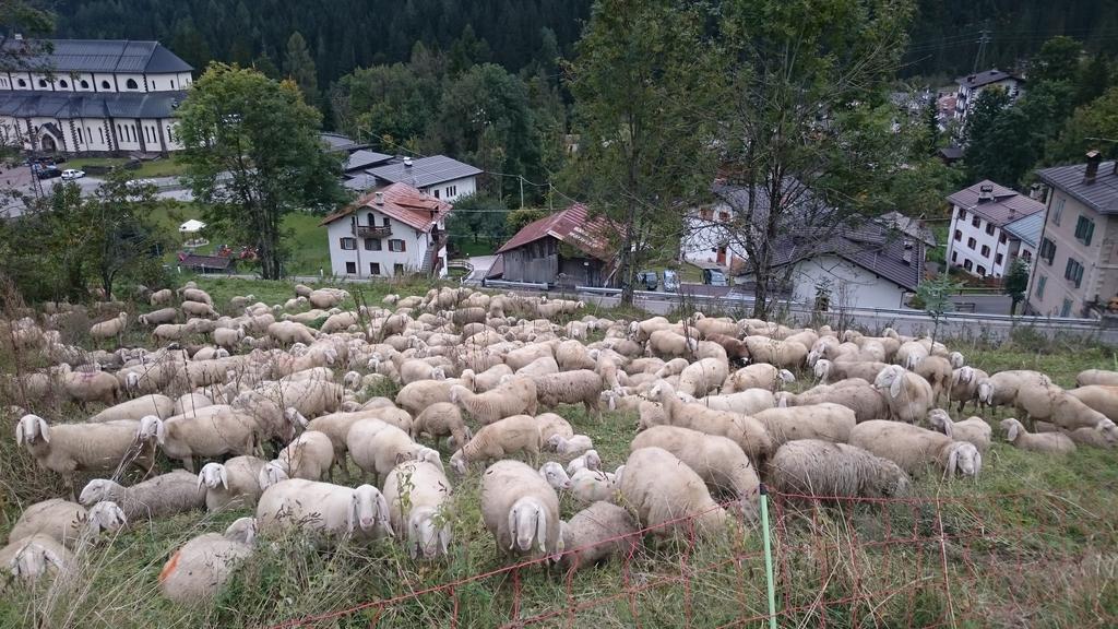 Hotel Garni Zimmermann Reith bei Kitzbühel Εξωτερικό φωτογραφία