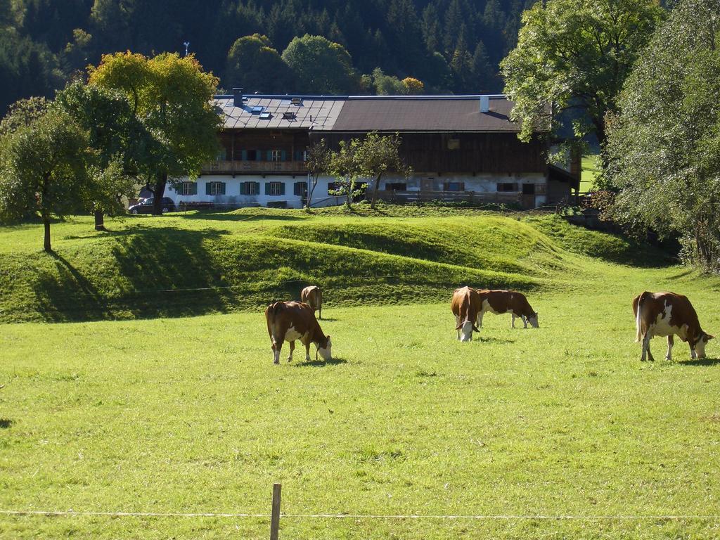 Hotel Garni Zimmermann Reith bei Kitzbühel Εξωτερικό φωτογραφία