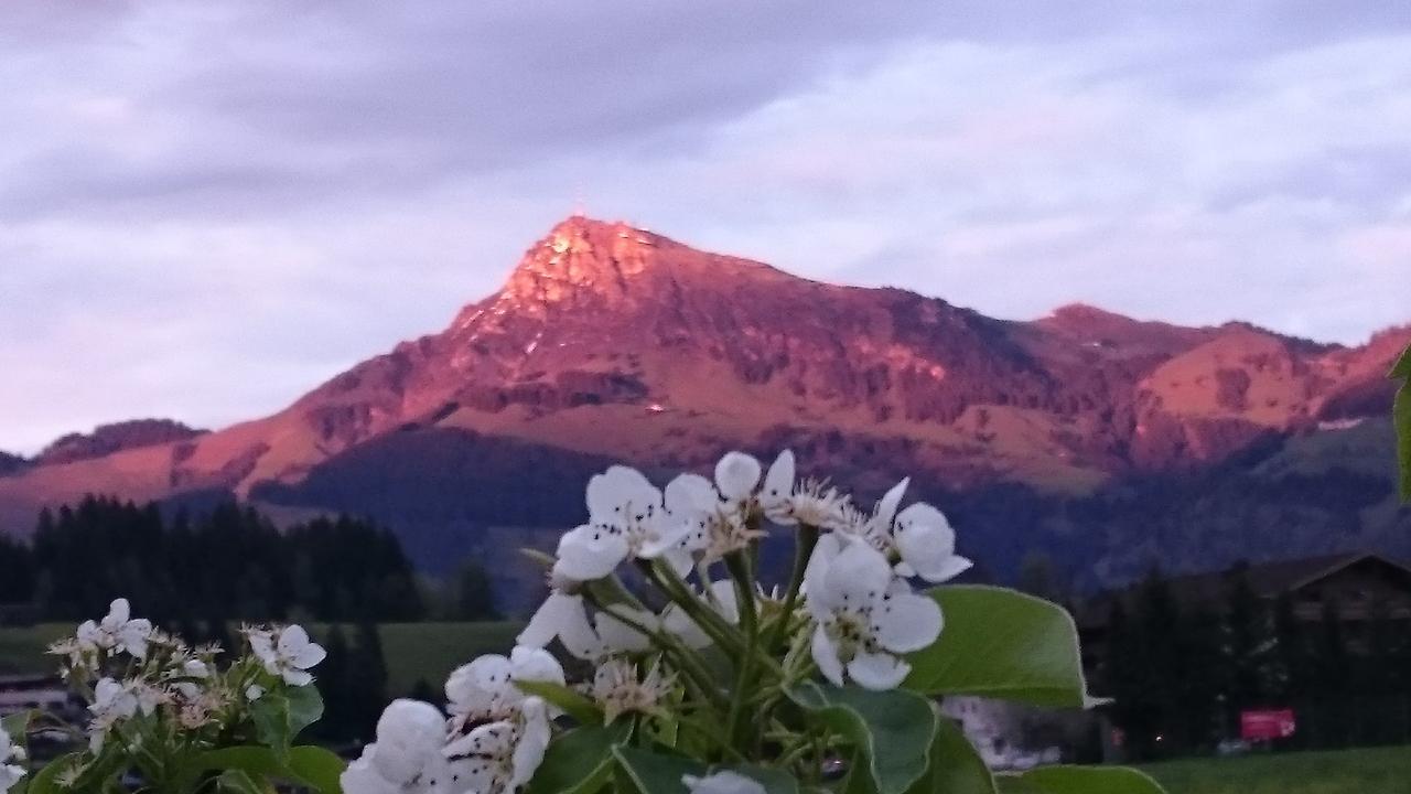 Hotel Garni Zimmermann Reith bei Kitzbühel Εξωτερικό φωτογραφία