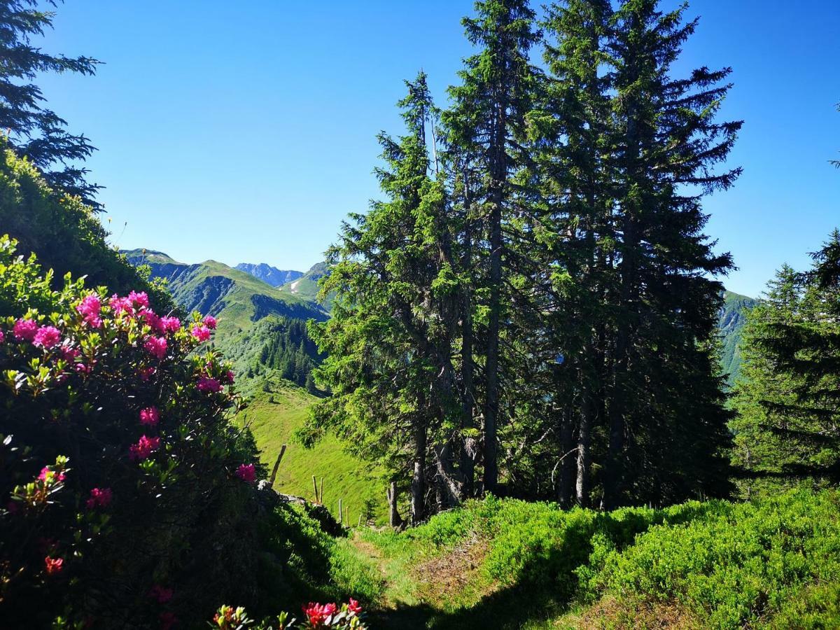 Hotel Garni Zimmermann Reith bei Kitzbühel Εξωτερικό φωτογραφία